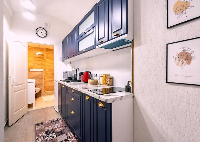 Apartment Historical Townhouse - Hypercenter Cluj-Napoca