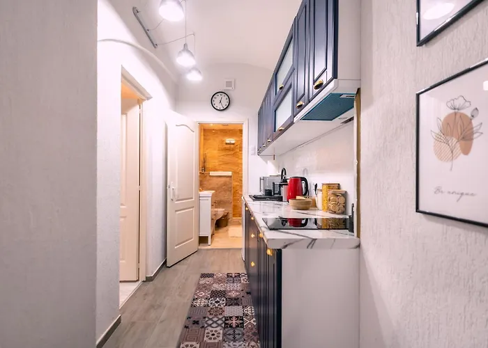 Apartman Historical Townhouse - Hypercenter